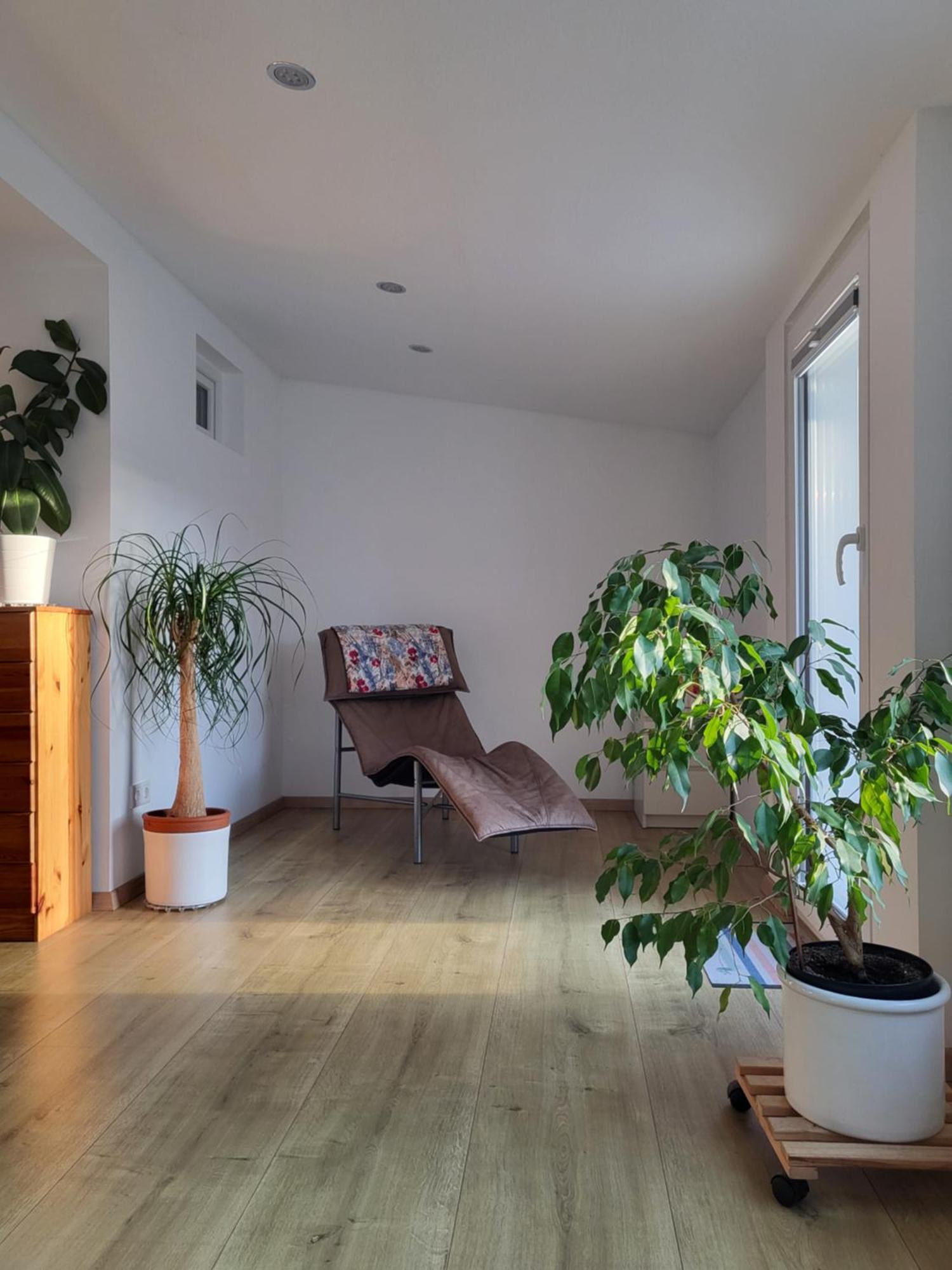 Bungalow In Messenaehe Hannover Eksteriør bilde